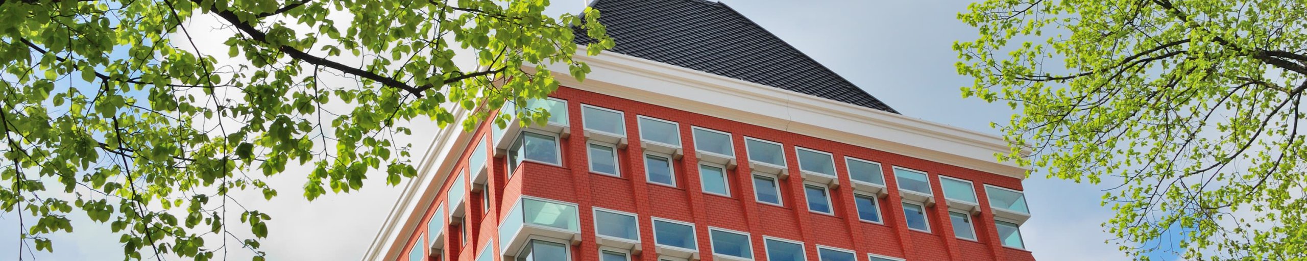 een onderaanzicht van de bovenkant van het provinciehuis, met op de voorgrond een aantal bomen